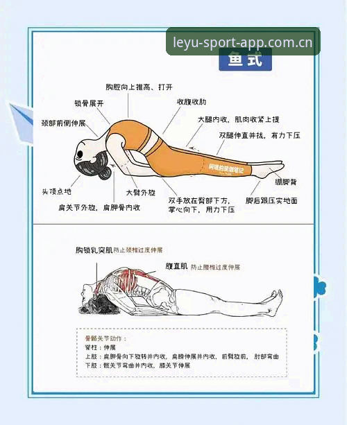 乐鱼体育使用教程 揭秘乐鱼体育使用教程背后的真相:从入门到精通的完整指南